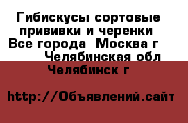 Гибискусы сортовые, прививки и черенки - Все города, Москва г.  »    . Челябинская обл.,Челябинск г.